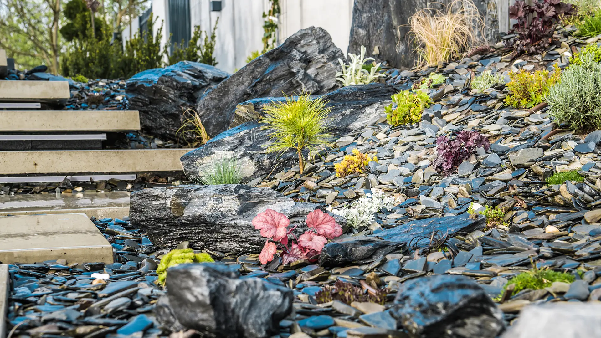 #lowmaintenancefrontyard #lowmaintenancefronty #gardeningmaintenance #gardeningmaintenanceservices #gardeningmaintenanceservice #gardeningmaintenancederbyshire #gardeningmaintenancerequired #easylandscapingideas #landscapephotography #landscape #landscapepainting #landscapedesign #landscapearchitecture #tips #tipsandtricks