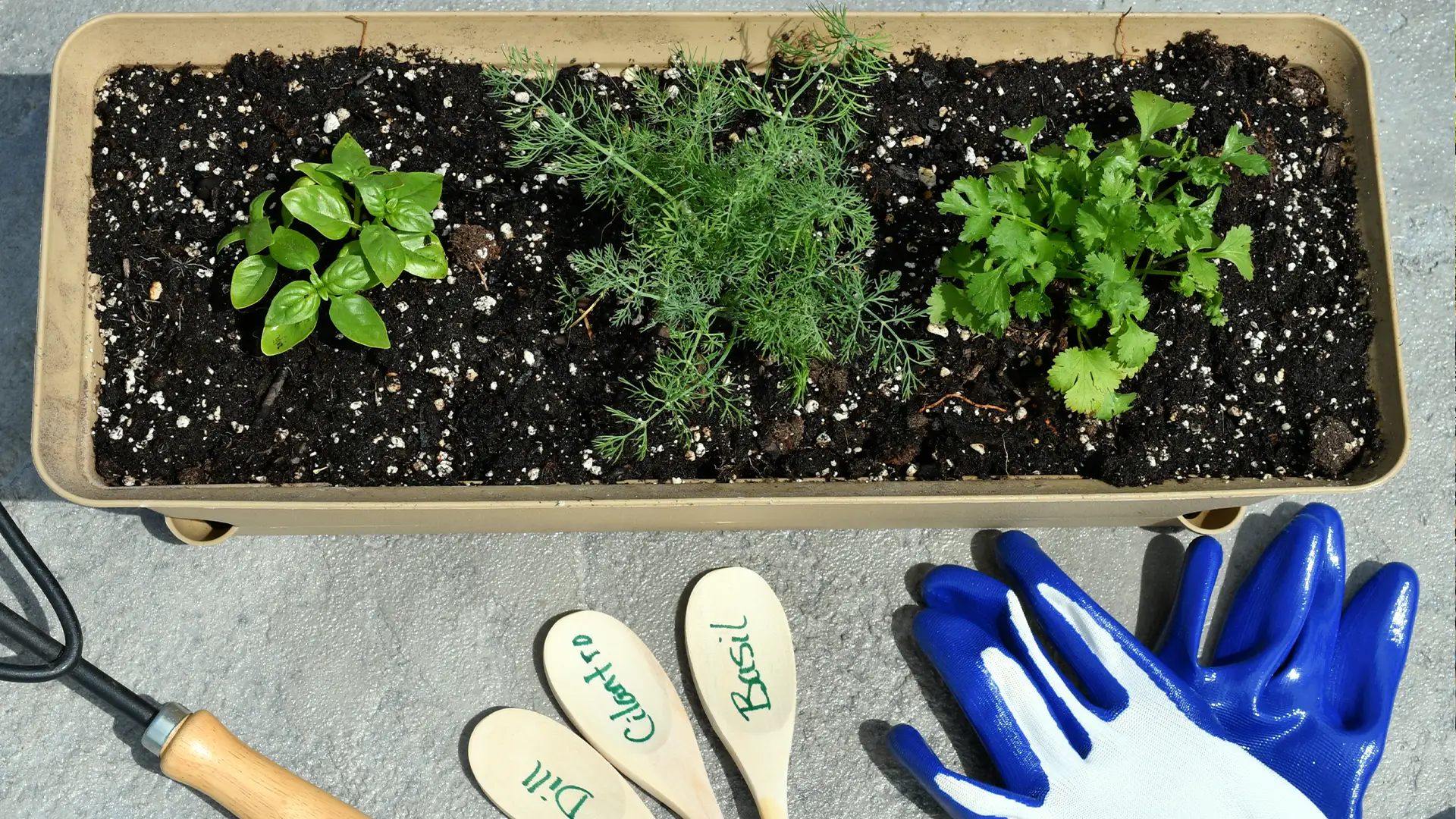 #lowmaintenancefrontyard #lowmaintenancefronty #gardeningmaintenance #gardeningmaintenanceservices #gardeningmaintenanceservice #gardeningmaintenancederbyshire #gardeningmaintenancerequired #easylandscapingideas #landscapephotography #landscape #landscapepainting #landscapedesign #landscapearchitecture #tips #tipsandtricks